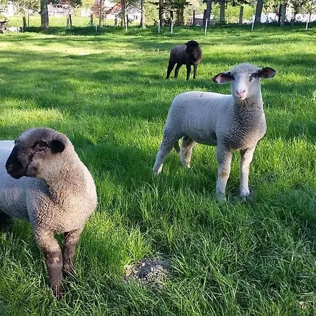 Apartmán Am Wald Balve